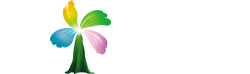 多盈中国